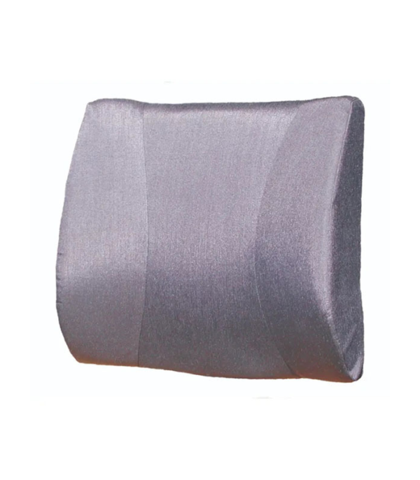 BodyAssist Deluxe Back Rest Cushion